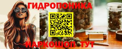 прущие грибы Кингисепп