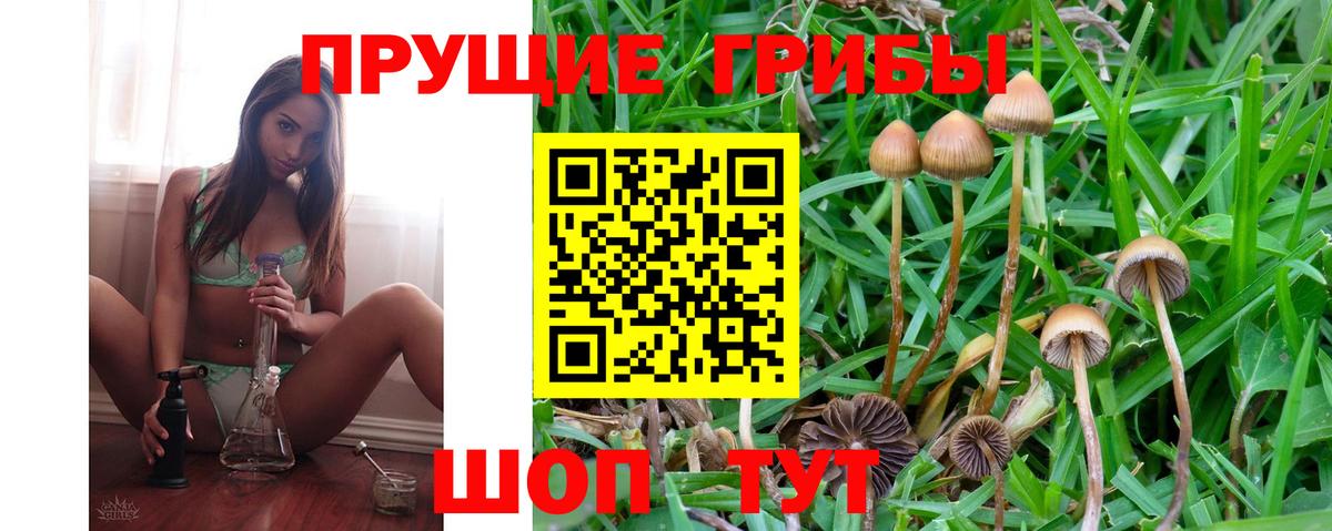 Галлюциногенные грибы MAGIC MUSHROOMS Краснознаменск