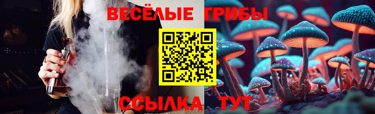 Краснознаменск  Галлюциногенные грибы Magic Shrooms  Вход с VPN 